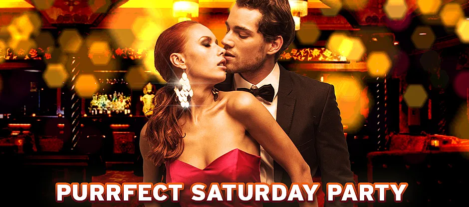 Purrfect Halloween Party at Vinyl Room
